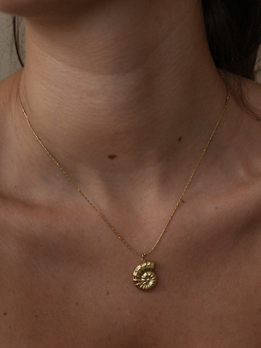 Gold shell pendant necklace on a satellite chain
