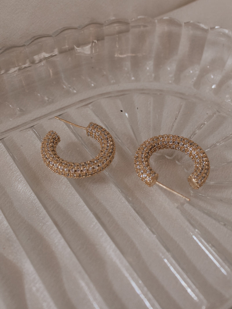 Pave Sparkle Hoops 