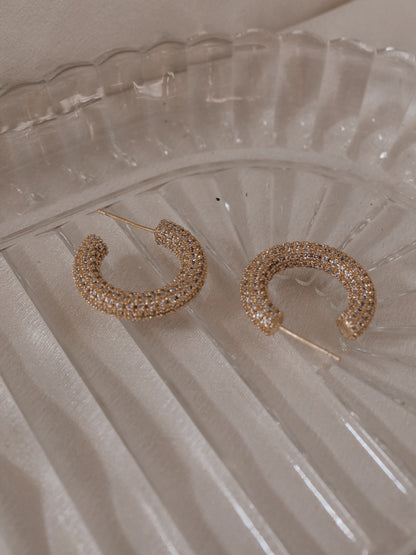 Pave Sparkle Hoops 