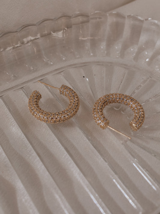 Pave Sparkle Hoops 